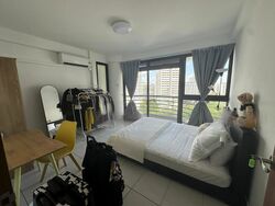 The Tanamera (D16), Condominium #483370941